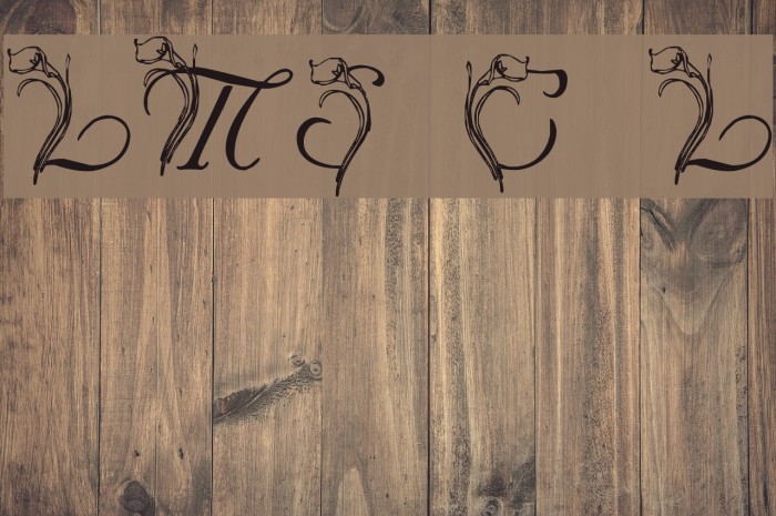 LMS Calla Lily Font examples