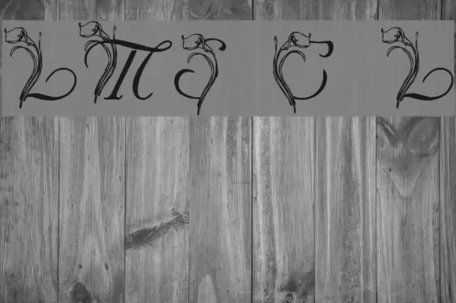 LMS Calla Lily Font examples