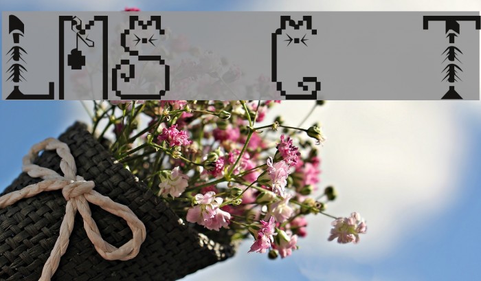 LMS Cat Treats Example 1