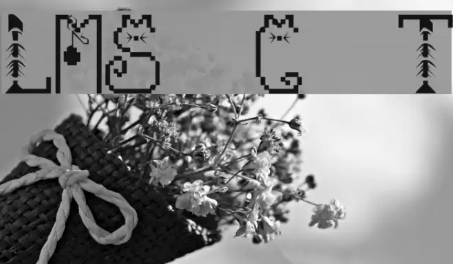 LMS Cat Treats Font examples