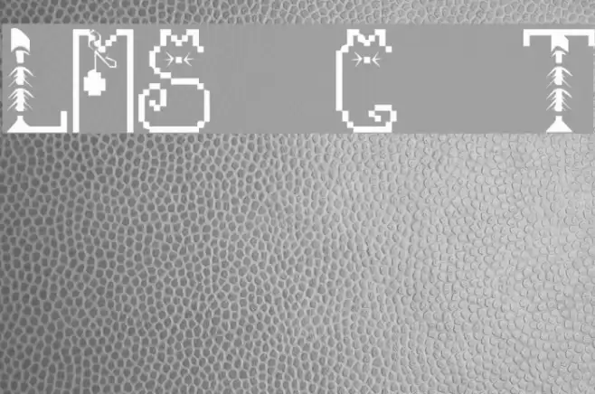 LMS Cat Treats Font examples