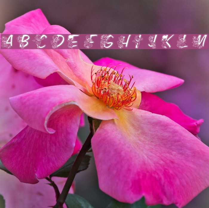 LMS Color Kids Outlined Example 1