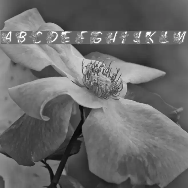 LMS Color Kids Outlined Font examples