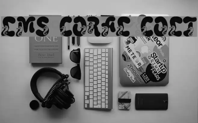 LMS Coral Colt Font examples