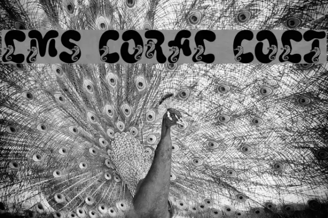 LMS Coral Colt Font examples