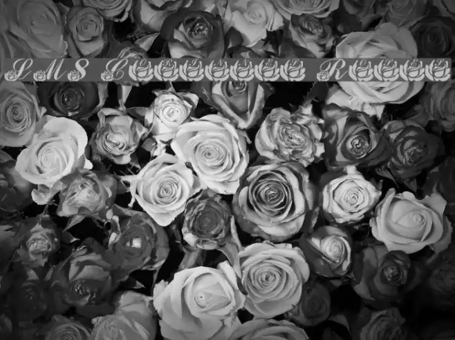 LMS Corinne's Roses Example 2
