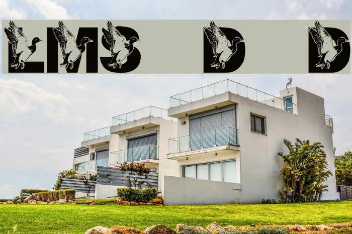 LMS Dad's Duck Example 1