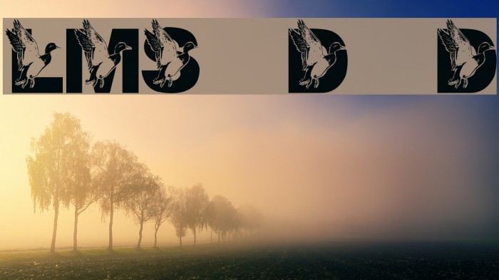 LMS Dad's Duck Example 2