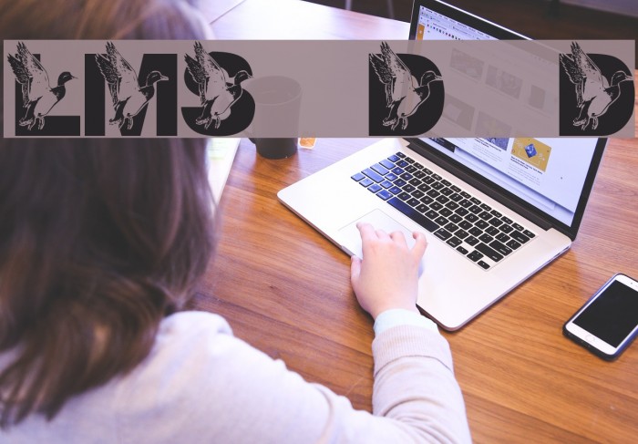 LMS Dad's Duck Example 3