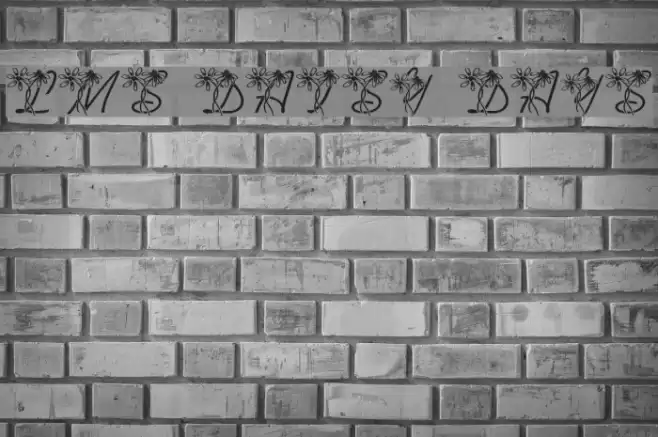 LMS Daisy Days Font examples