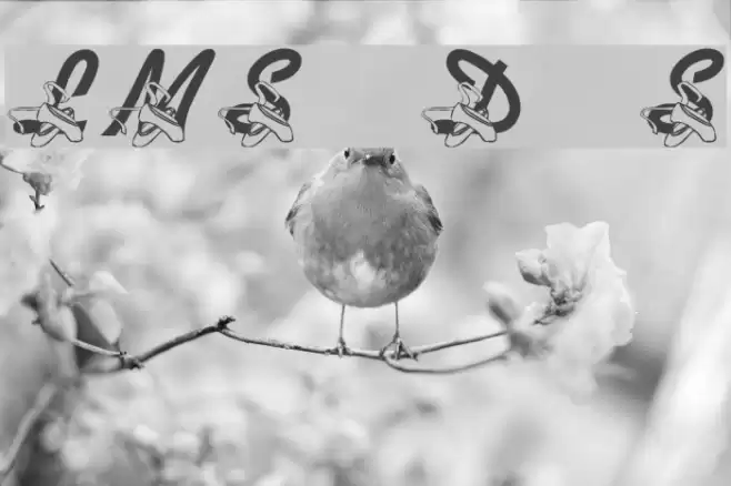 LMS Dance Shoes Font examples