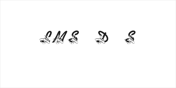 LMS Dance Shoes Logo
