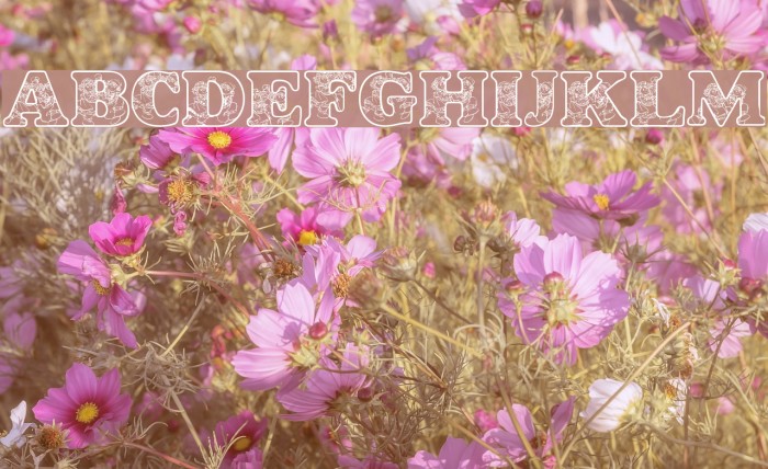 LMS Dancing Rag Dolls Font examples