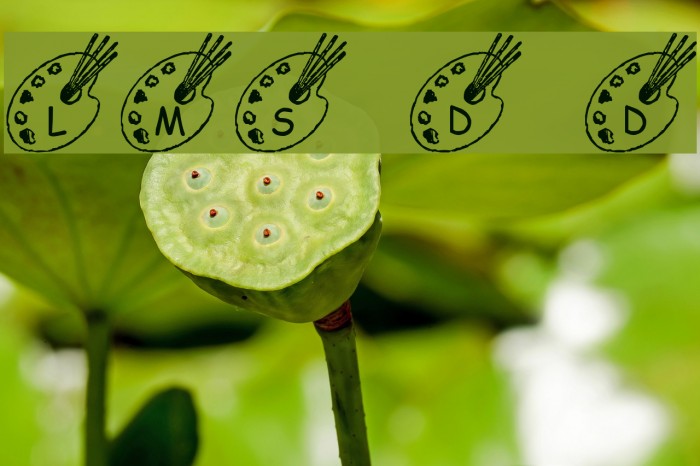 LMS Darren's Diversion Example 2