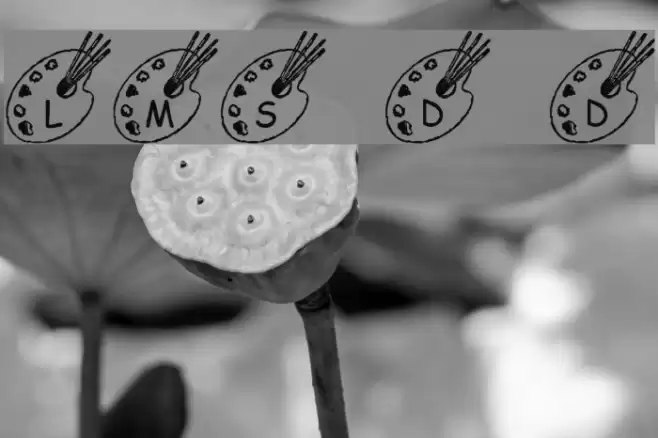 LMS Darren's Diversion Font examples