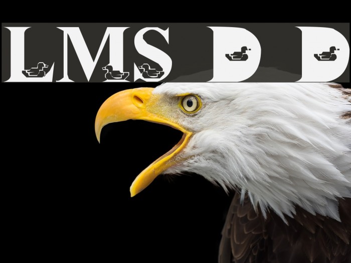 LMS David's Ducks Font examples