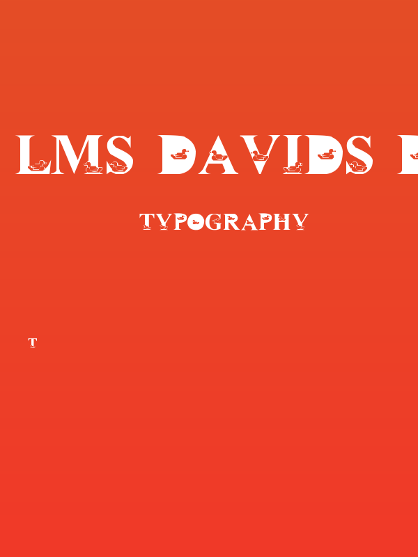 LMS David's Ducks Poster