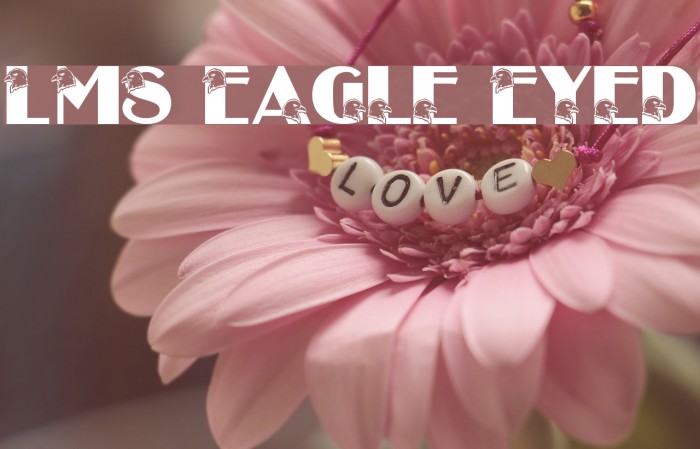 LMS Eagle Eyed Example 1