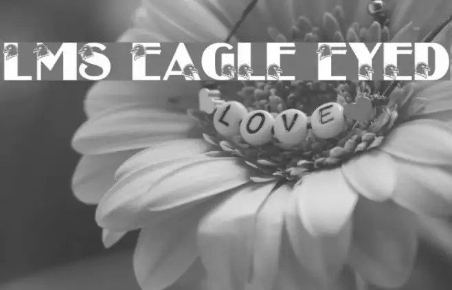 LMS Eagle Eyed Font examples