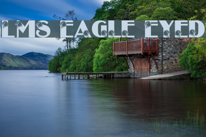 LMS Eagle Eyed Example 3