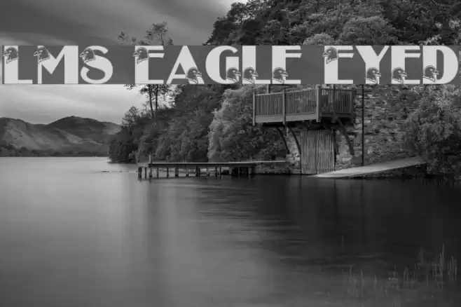 LMS Eagle Eyed Font examples