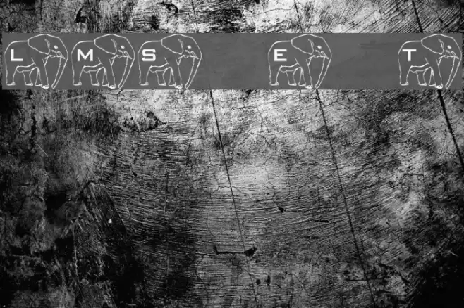 LMS Elephant Tattoo Font examples