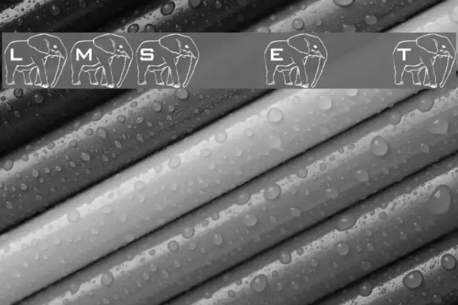 LMS Elephant Tattoo Font examples