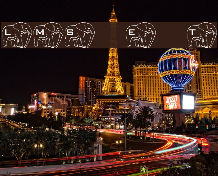 LMS Elephant Tattoo Example 3