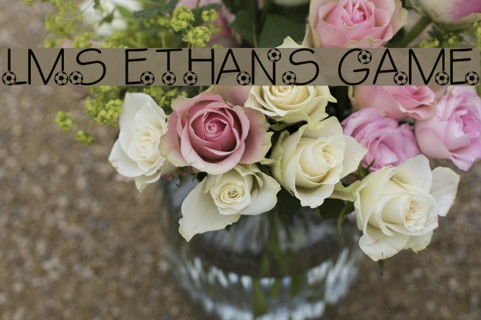 LMS Ethan's Game Example 1