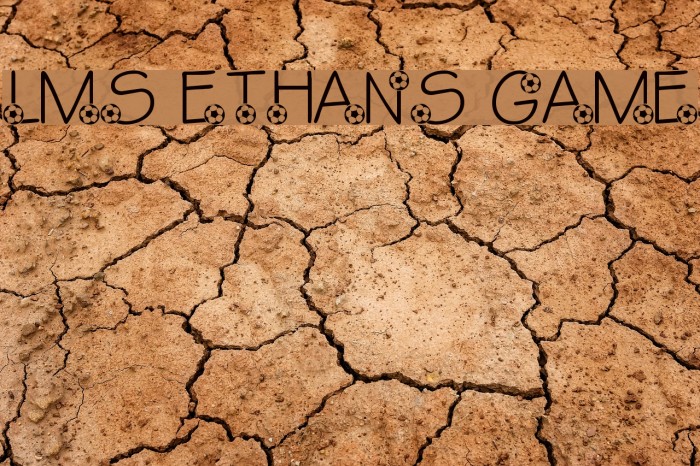 LMS Ethan's Game Example 2