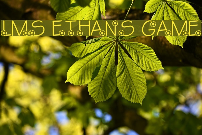 LMS Ethan's Game Example 3