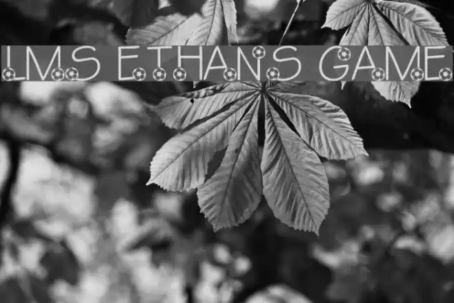 LMS Ethan's Game Font examples