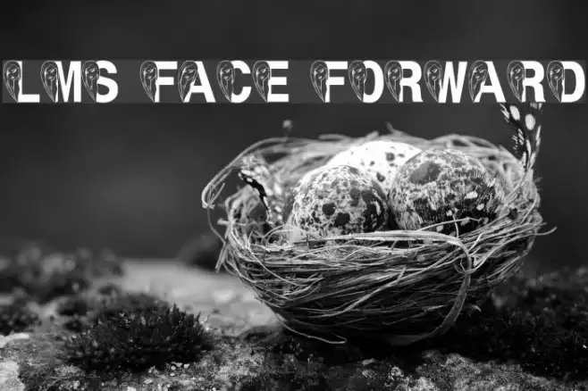 LMS Face Forward Example 1