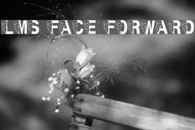 LMS Face Forward Example 2