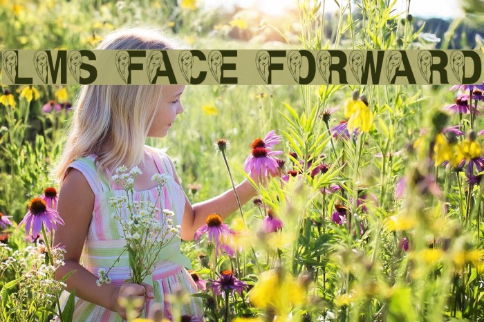 LMS Face Forward Font examples