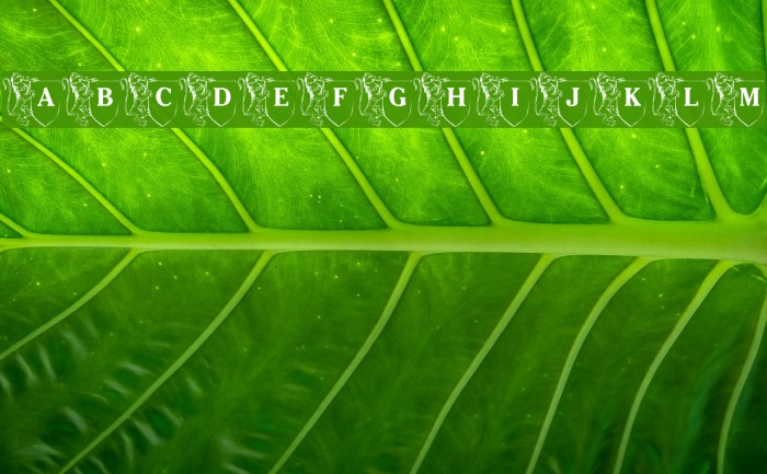 LMS Family Shield Font examples