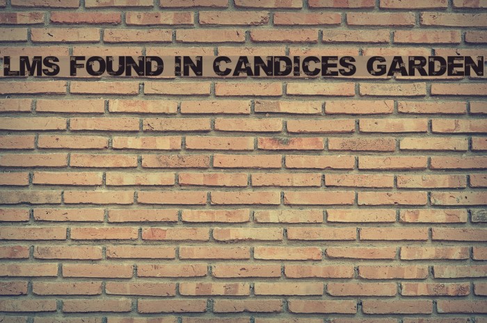LMS Found In Candice's Garden Font examples