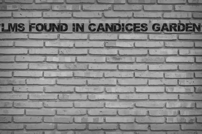 LMS Found In Candice's Garden Font examples