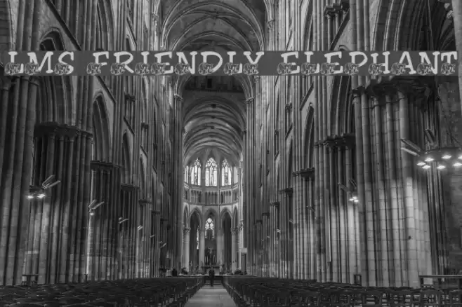 LMS Friendly Elephant Font examples