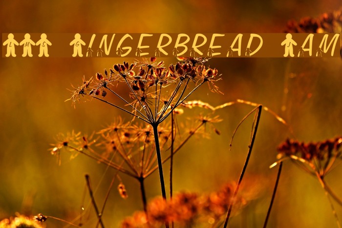 LMS Gingerbread Jam Font examples