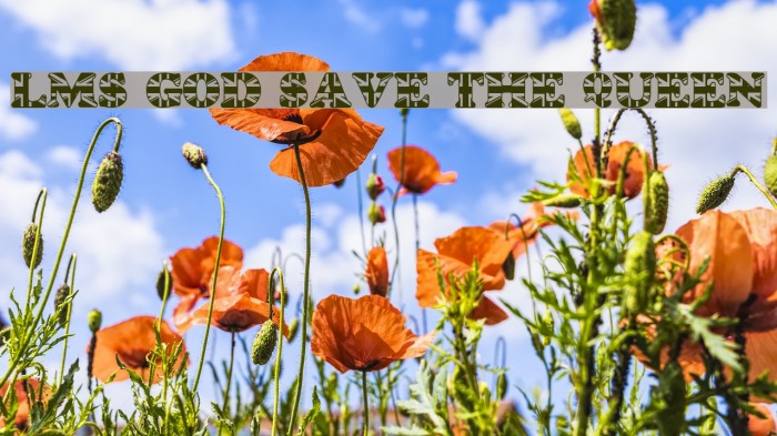 LMS God Save The Queen Font examples