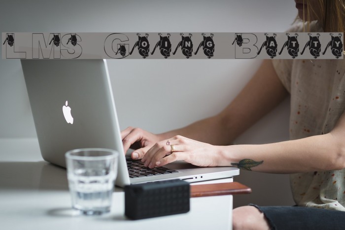 LMS Going Batty Example 2