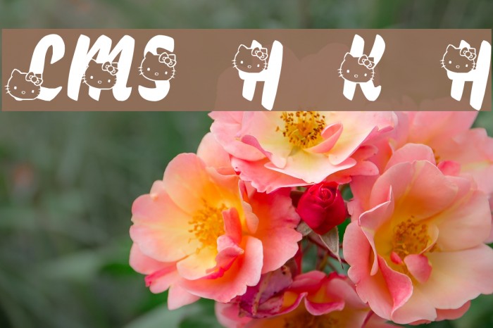 LMS Hello Kitty Hello Font examples