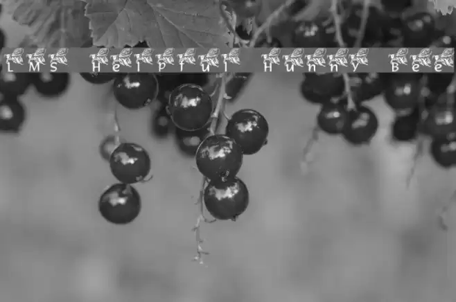 LMS Helpful Hunny Bee Font examples