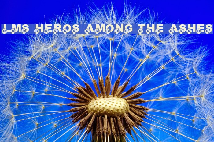 LMS Heros Among The Ashes Font examples