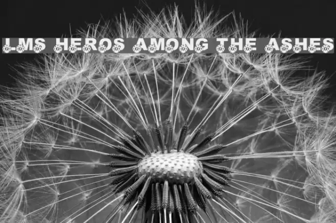 LMS Heros Among The Ashes Fonte examples