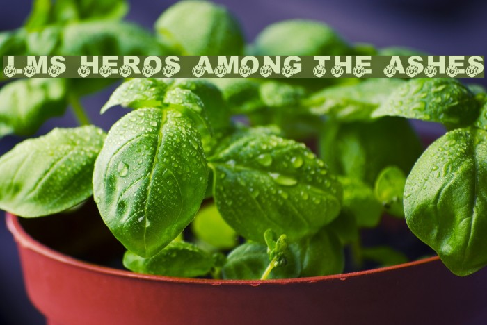 LMS Heros Among The Ashes Font examples