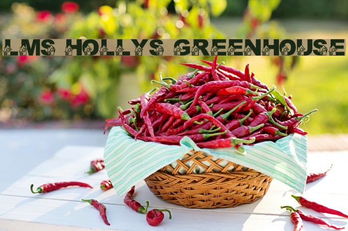 LMS Holly's Greenhouse Font examples