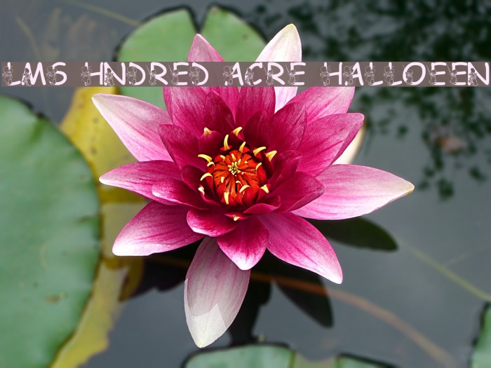 LMS Hundred Acre Halloween Example 1