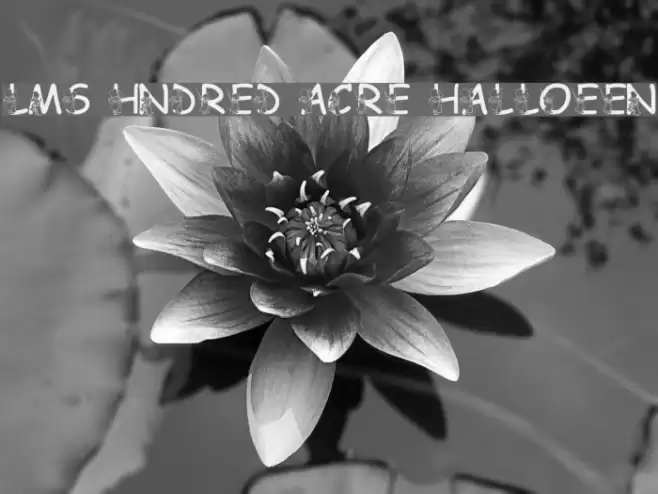 LMS Hundred Acre Halloween Font examples
